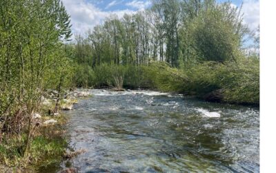 Gestion d’étiage en cours face à la sécheresse 2025
