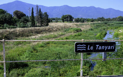 Le Tanyari lauréat au niveau national !
