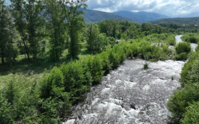 Sécheresse 2026 : Passage en Alerte Renforcée