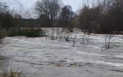 Fin des restrictions sur le Tech